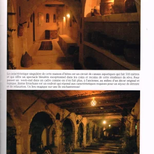 realites deco tunisie